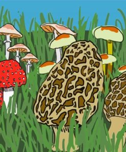 Morel Mushroom Illustration Paint By Numbers