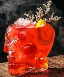 Old Fashioned Cocktail Skull Glass Paint By Number