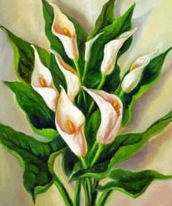 Peace Lily Flowers Paint By Number