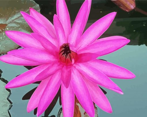 Pink Tiger Lotus Paint By Numbers