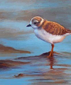 Piping Plover Art Paint By Numbers