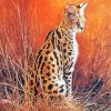 Serval Animal Art Paint By Number