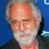 The Actor Tommy Chong Paint By Number