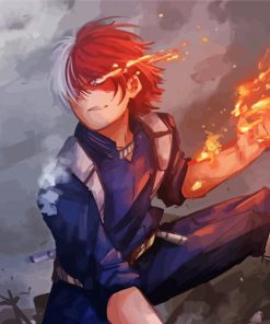 Todoroki Shoto Anime Paint By Number