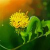 Yellow Flower Dragon Paint By Numbers