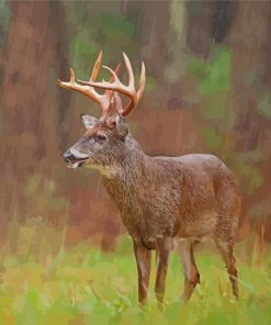 Aesthetic Deer In Rain Paint By Numbers