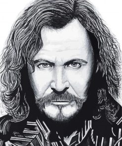 Black And White Sirius Black Paint By Numbers