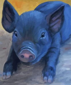 Black Pig Paint By Numbers