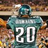 Brian Dawkins Paint By Number