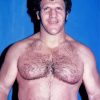 Bruno Sammartino Wrestler Paint By Numbers