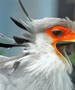 Close Up The Secretarybird Paint By Numbers