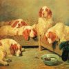 Clumber Spaniel Dogs Paint By Numbers