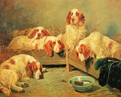 Clumber Spaniel Dogs Paint By Numbers