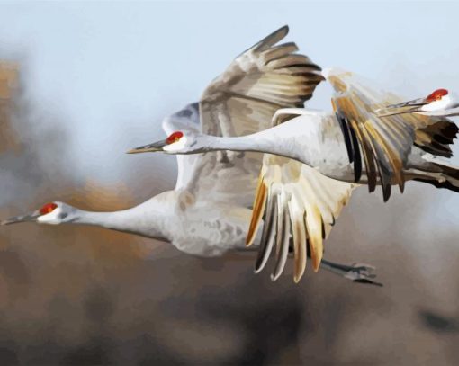 Flying Sandhill Crane Paint By Numbers