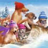 Funny Dogs In Snow Paint By Numbers