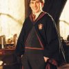 Harry Potter Neville Longbottom Paint By Numbers