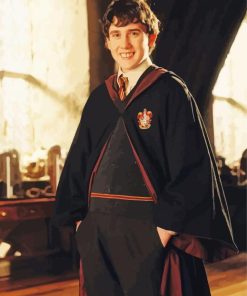 Harry Potter Neville Longbottom Paint By Numbers