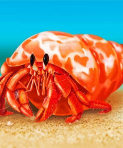 Hermit Crab Art Paint By Numbers