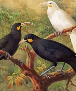 Huia Birds Paint By Numbers