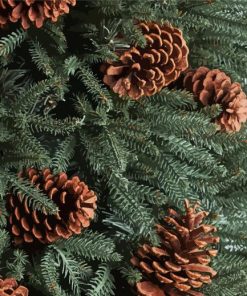 Pine Cones Paint By Numbers