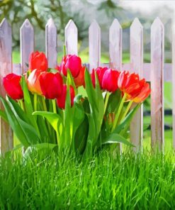 Red Flowers And Fence Paint By Numbers