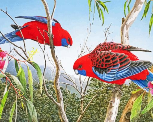 Rosellas Bird Paint By Numbers