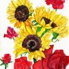 Roses And Sunflowers Paint By Number