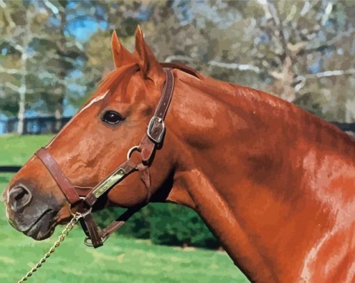 Secretariat Horse Paint By Number