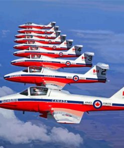 Snowbirds Planes Paint By Numbers