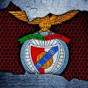 Sport Lisboa Benfica Football Club Paint By Numbers