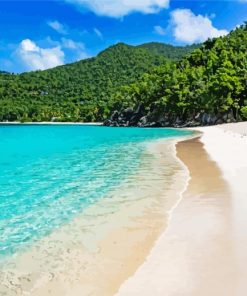 Us Virgin Islands Beach Paint By Numbers