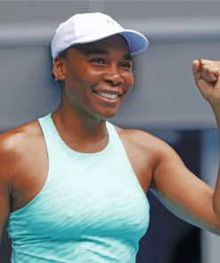 Venus Williams Paint By Number