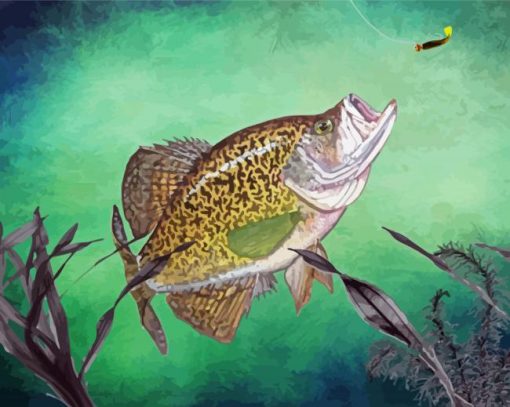 Aesthetic Crappie Fish Paint By Numbers