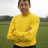 Aesthetic Gordon banks Paint By Number