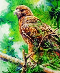 Aesthetic Red Tail Hawk Art Paint By Numbers