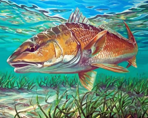 Aesthetic Redfish Drum Paint By Numbers