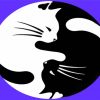 Aesthetic Yin Yang Cats Paint By Numbers