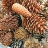 Aesthetic Pine Cones Paint By Number