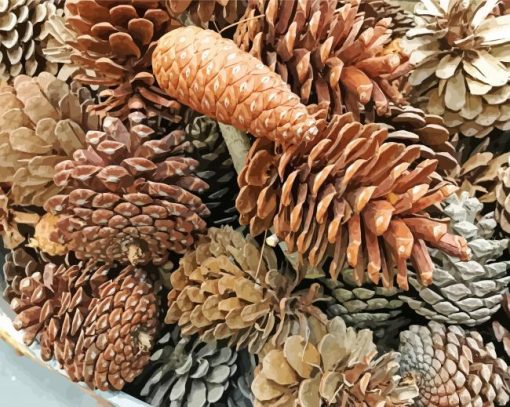 Aesthetic Pine Cones Paint By Number