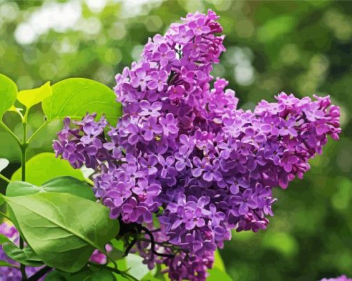 Aesthetic Purple Lilac Tree Paint By Numbers