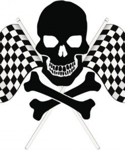 Black Skull And Checkered Flag Paint By Numbers