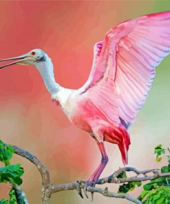 Cute Roseate Spoonbill Paint By Number