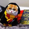 Hufflepuff Kitty Paint By Numbers