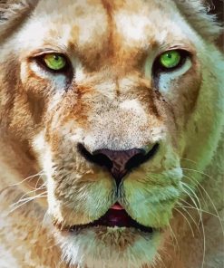 Lion With Green Eyes Paint By Numbers