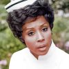 Pretty Diahann Carroll Paint By Number