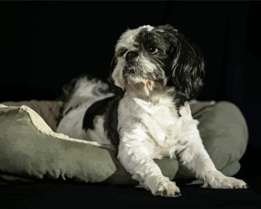 Shih Tzu Black And White Paint By Number