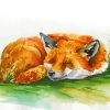 Sleeping Fox Watercolor Paint By Number