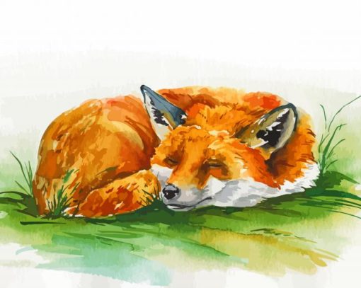 Sleeping Fox Watercolor Paint By Number