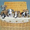 Whippet Puppies In Basket Paint By Numbers