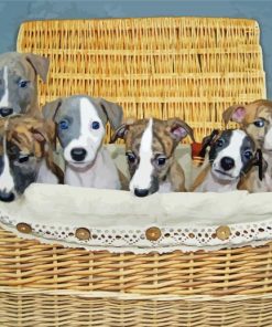 Whippet Puppies In Basket Paint By Numbers